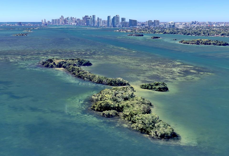 1 Bird Key Miami Beach Island For Sale
