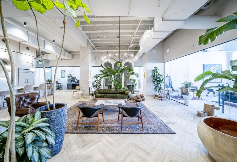 Spacious modern office lounge with large indoor plants, a green sofa, two black chairs on a patterned rug, and glass-walled meeting rooms.