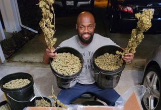 The Hemp Industry Got High On Legalized Supply. Now States Like Texas Could Kill The Buzz