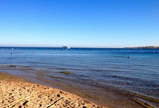 red sea coast