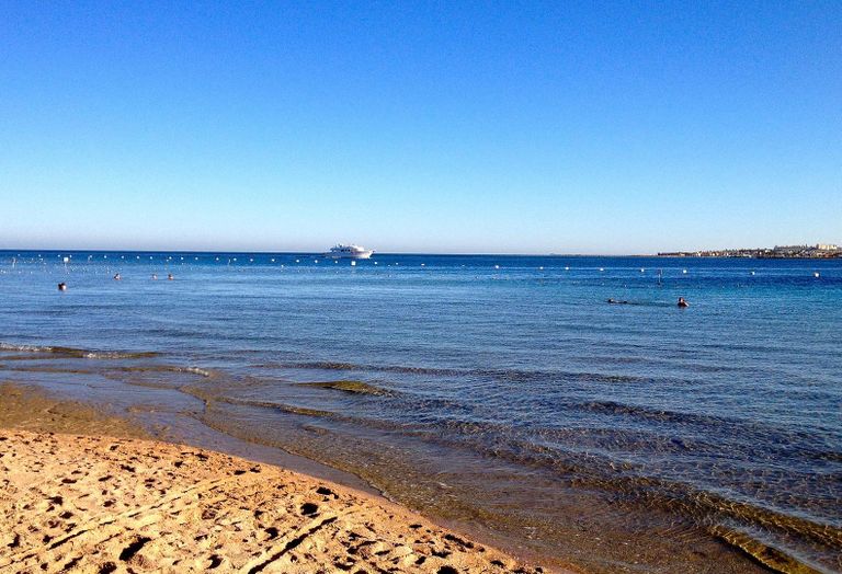 red sea coast