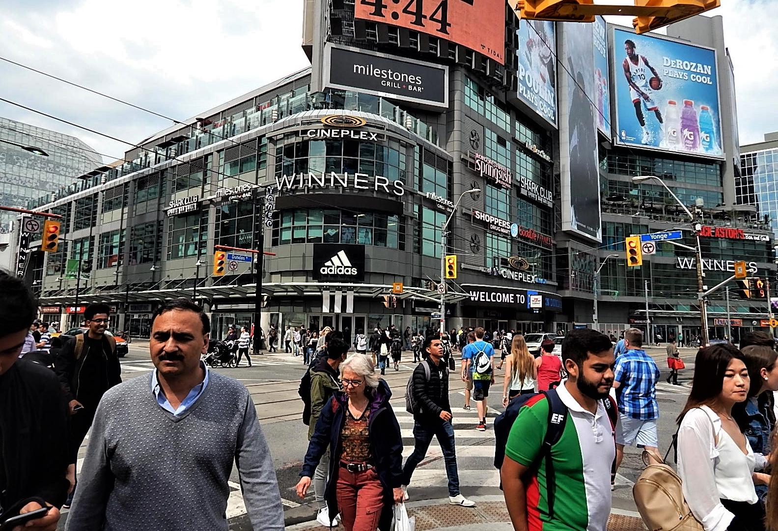 Toronto immigration numbers