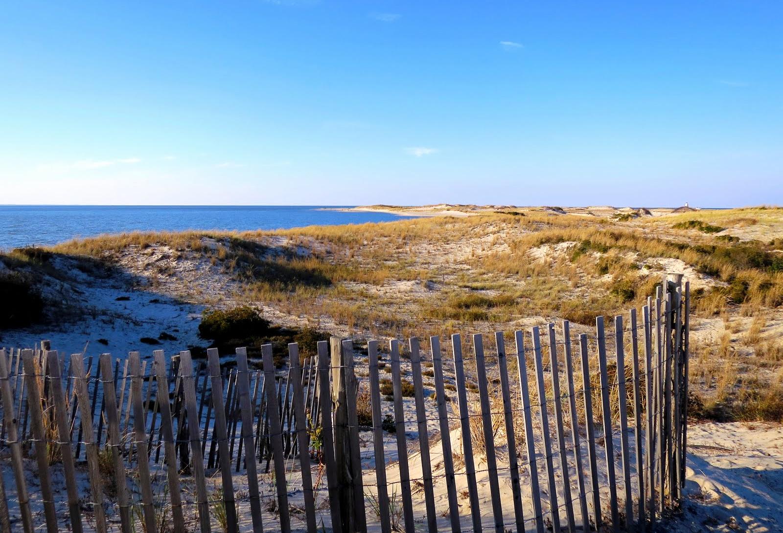 Cape Henlopen State Park in Delaware
