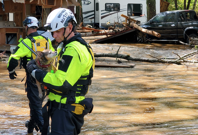 Urban Search & Rescue Massachusetts Task Force 1 team working diligently in Jackson and Haywood counties to find stranded people and animals