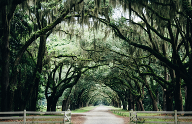 Savannah Industrial Conference