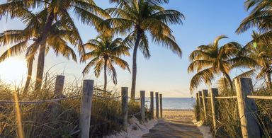 The Future of Coconut Grove and Coral Gables