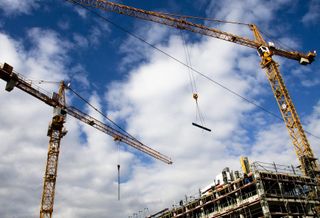 Cranes