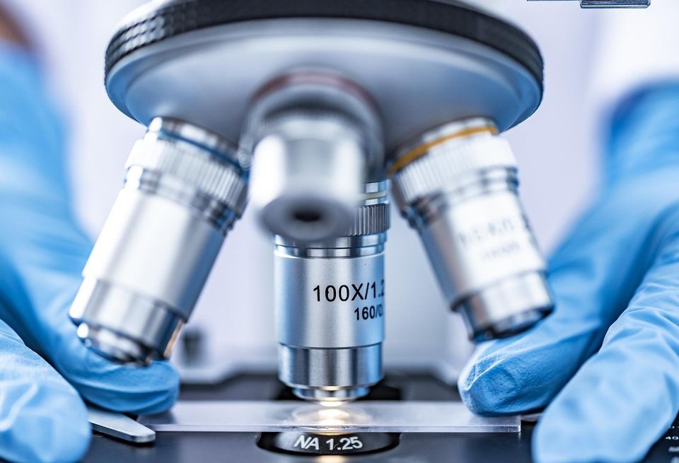 Life sciences