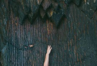 hanging from a cliff 