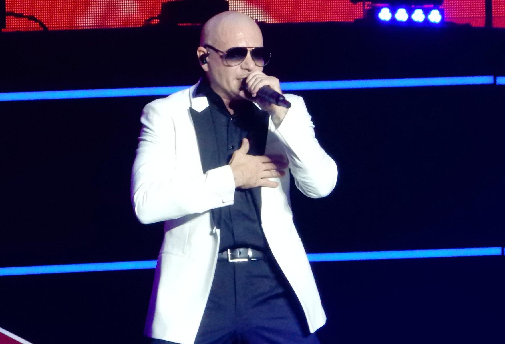 Pitbull At A Las Vegas Concert In 2018.