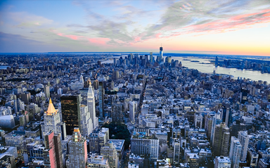 New York Life Sciences