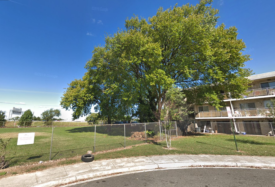 A fenced-off vacant parcel of land with several tall trees