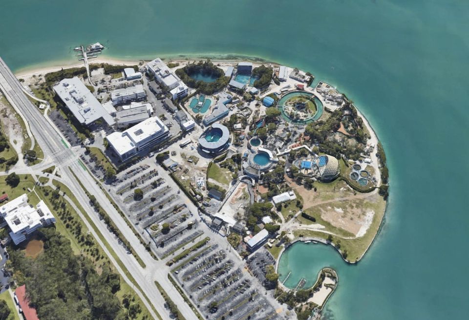 Miami Seaquarium Virginia Key 4400 Rickenbacker Causeway 2