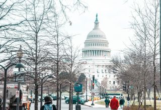 Investors See Potential For Dream Scenario In Early Election Returns
