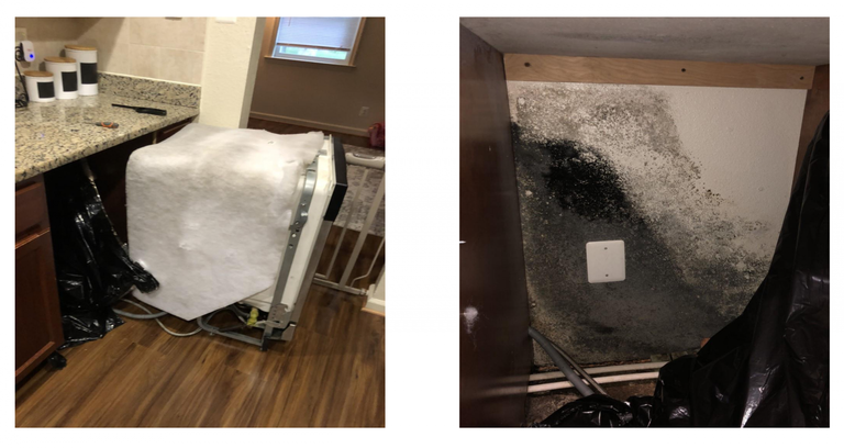 Images of the wall behind the dishwasher in the Romans' 5200 Stable Court. Raven Roman said she used a knife to scrape a sample from the wall in the presence of Army officials.