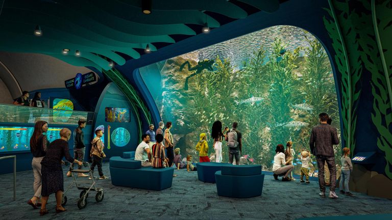 Kelp Forest