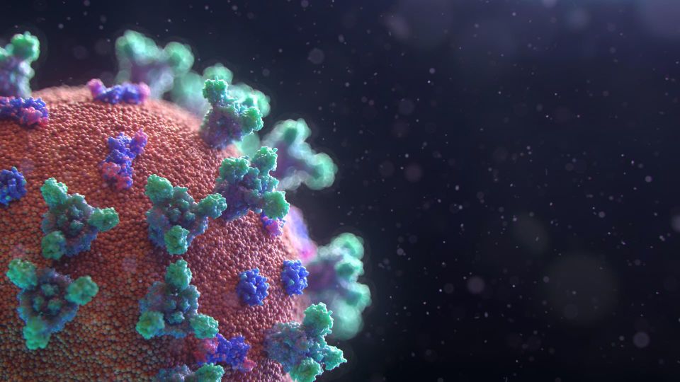 virus coronavirus