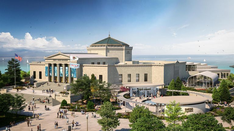 Shedd