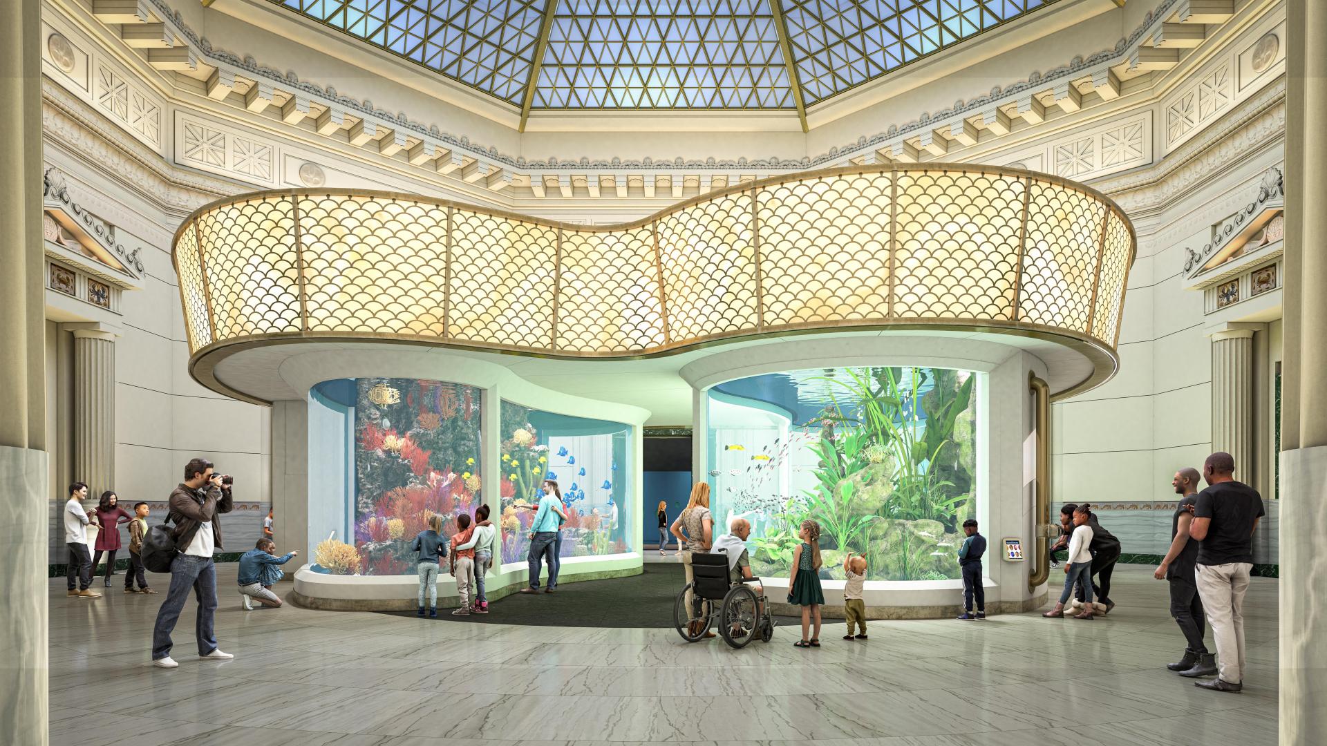 Shedd