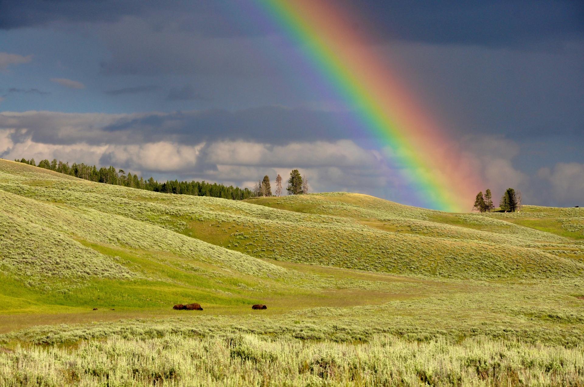 That's Not A Pot Of Gold At The End Of The Rainbow. It's Self-Storage
