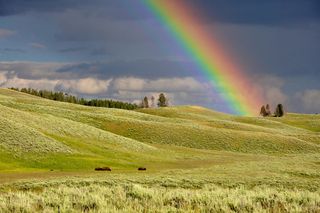 That's Not A Pot Of Gold At The End Of The Rainbow. It's Self-Storage
