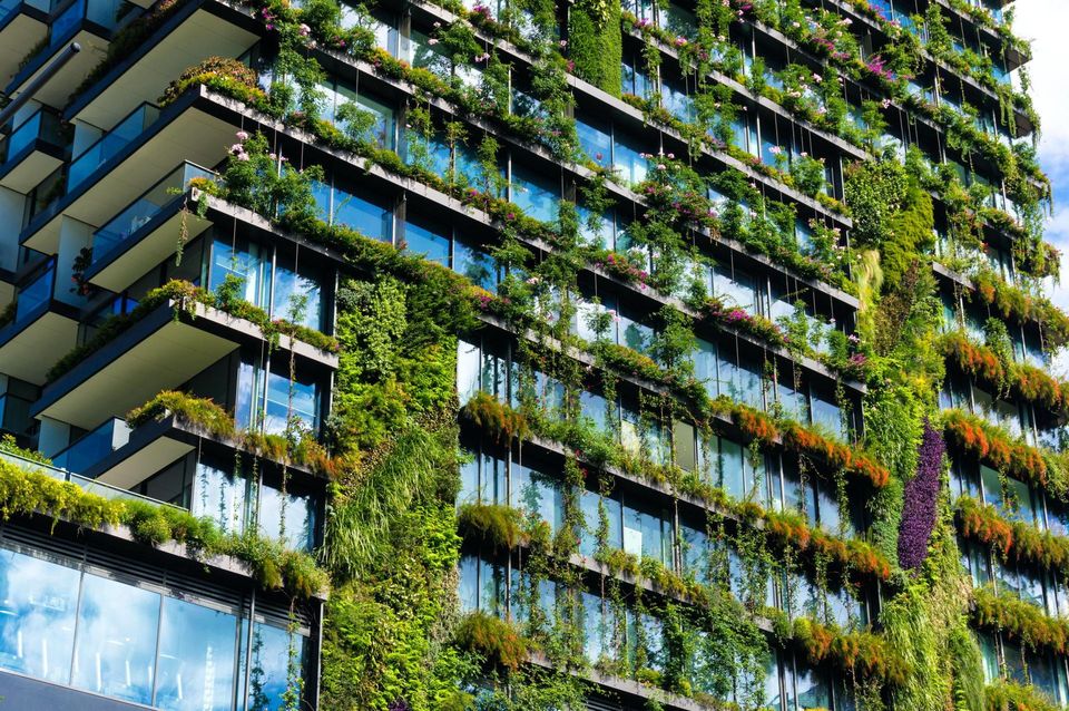 sustainability