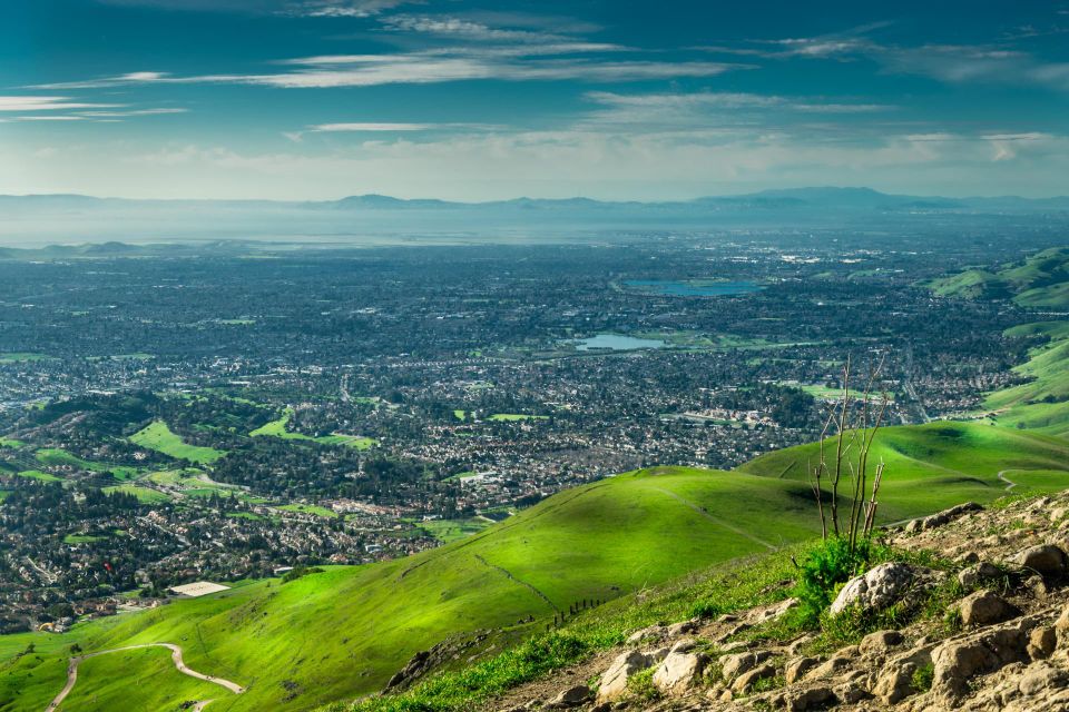Silicon Valley landscape