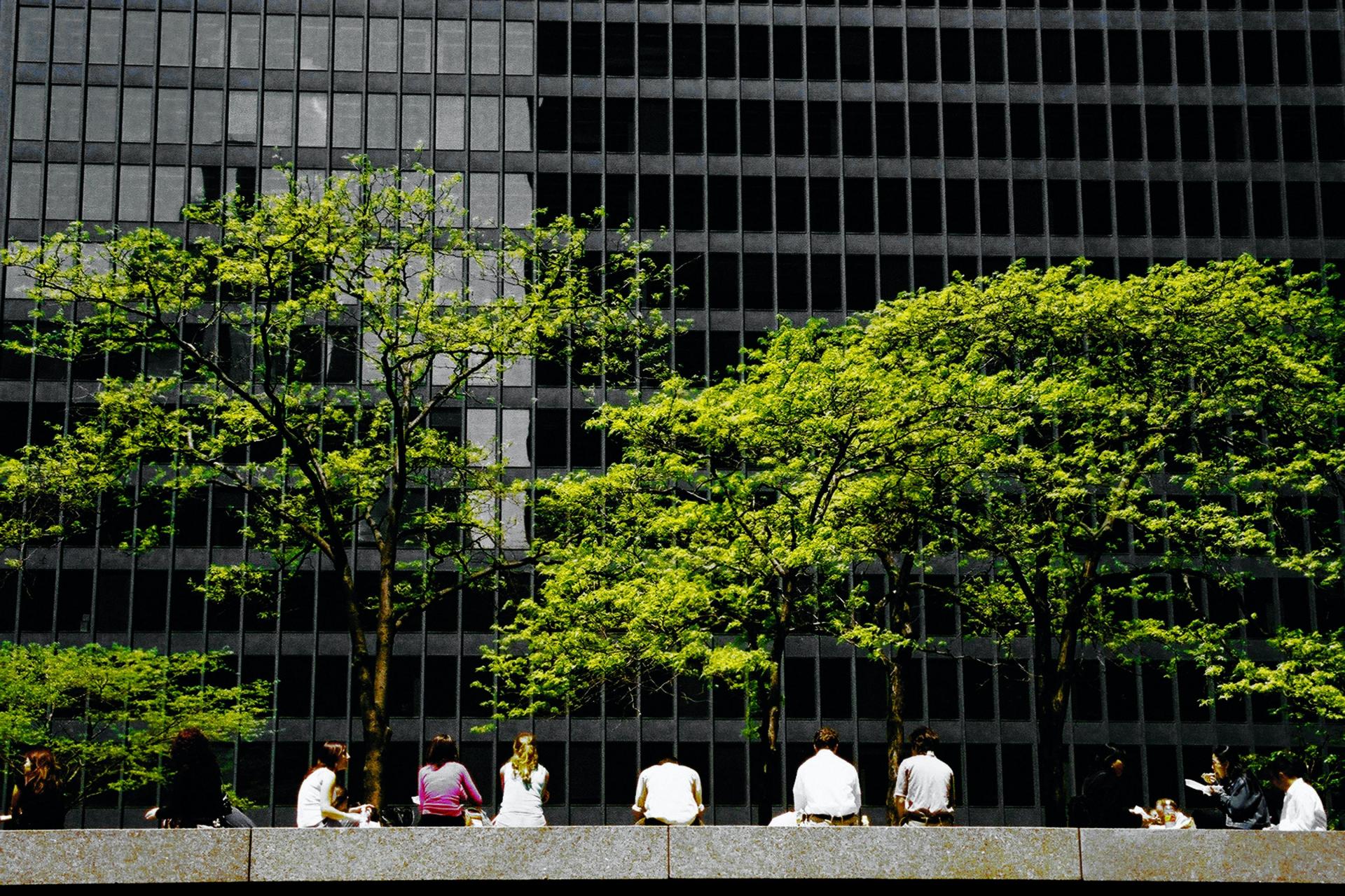 Fines And Penalties For Noncompliant Buildings: How To Avoid The Mess