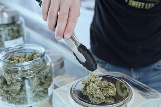 marijuana, cannabis, retail, store