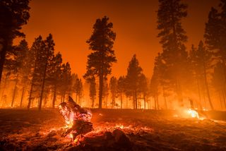 Needless Construction And Architectural Arrogance: Climate Crisis And The Future Of Work