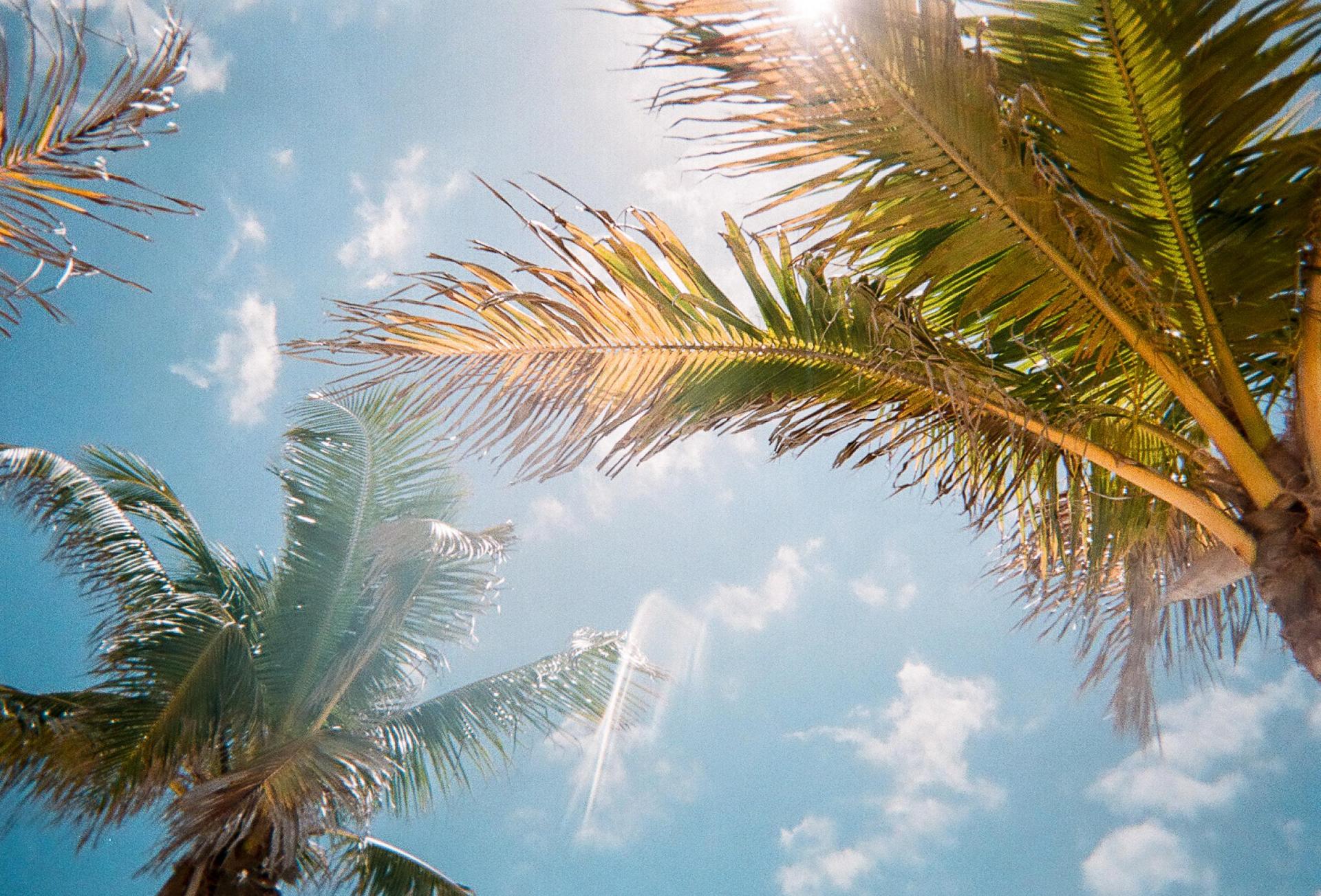 Want A Piece Of South Florida’s Soaring CRE Market? Come To Bisnow’s South Florida Construction And Development Boom Event On April 6