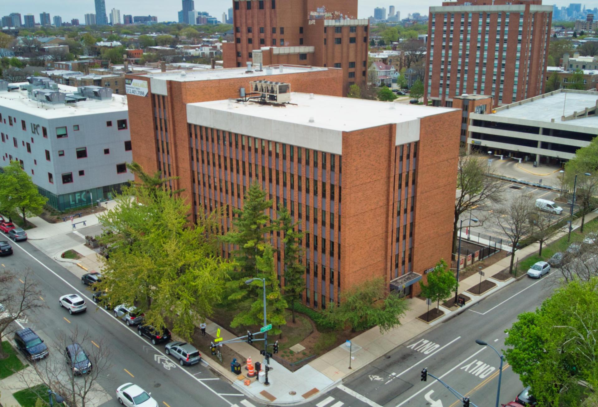 Green Shoots Appearing In Medical Office After Months-Long Deep Freeze