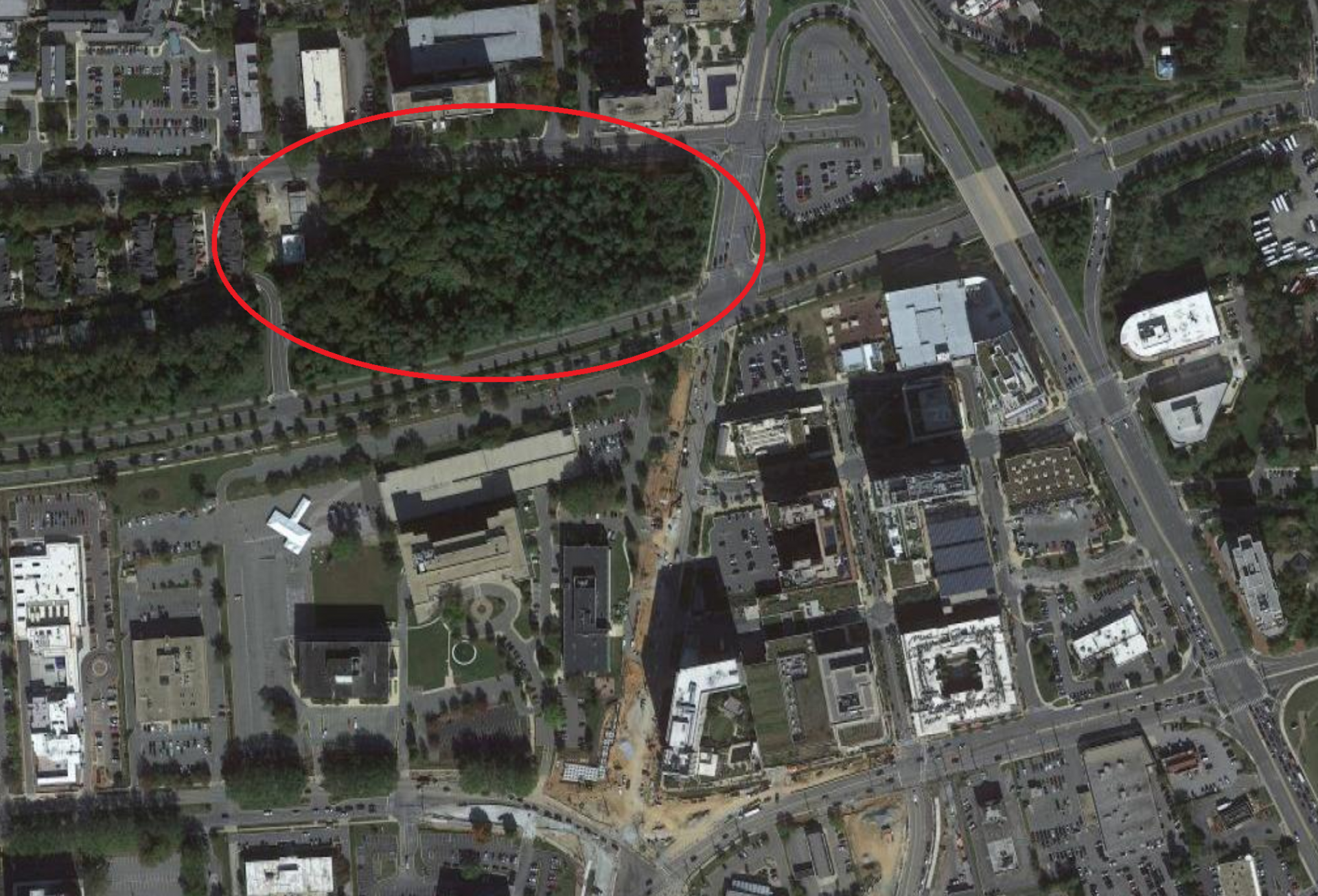 Aerial view of the tree-covered parcel, marked by a red circle.