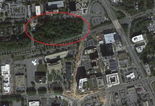 Aerial view of the tree-covered parcel, marked by a red circle.