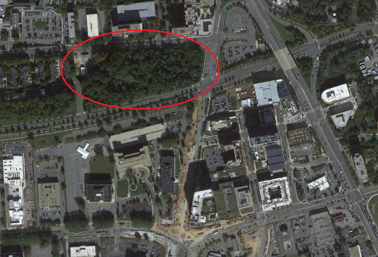Aerial view of the tree-covered parcel, marked by a red circle.