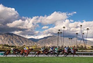 Horses compete during a race at Santa Anita Park in Arcadia