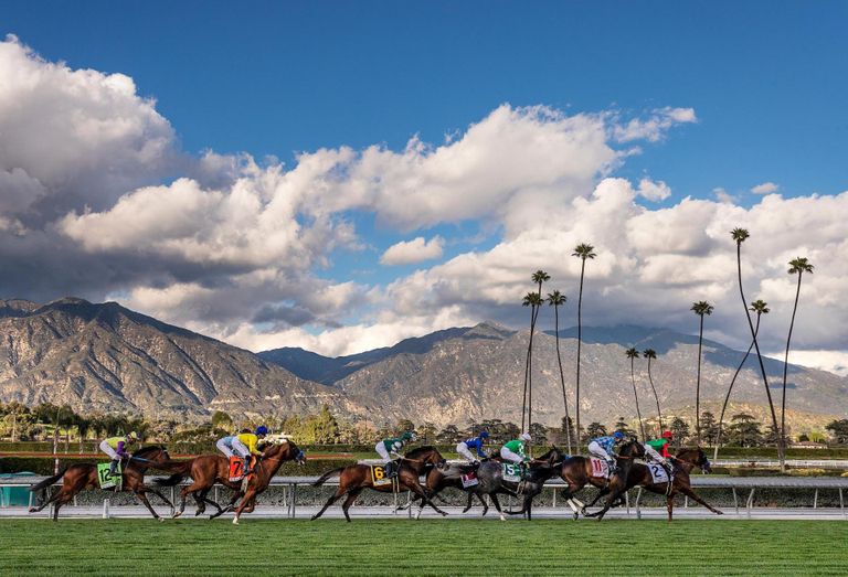 Horses compete during a race at Santa Anita Park in Arcadia