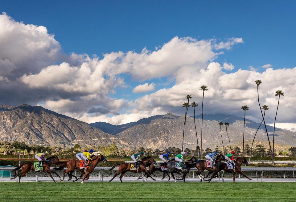 Horses compete during a race at Santa Anita Park in Arcadia