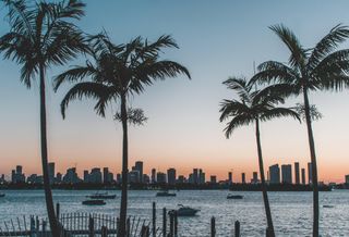 Ignoring Property Tax Management Strategies In Florida Can Be Costly