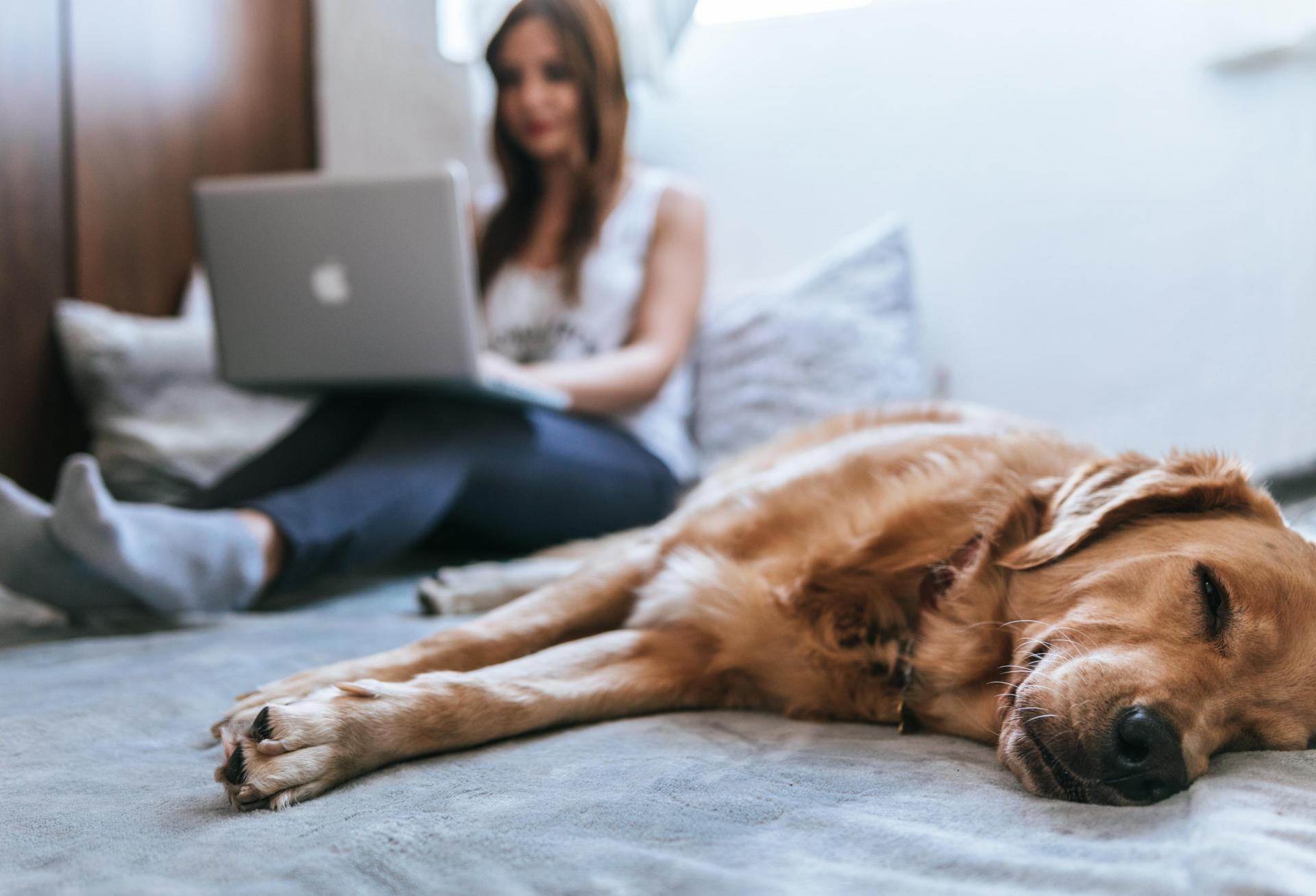 From Sidewalk To Sofa: How Smart Technologies Help Meet Residents’ Great Expectations
