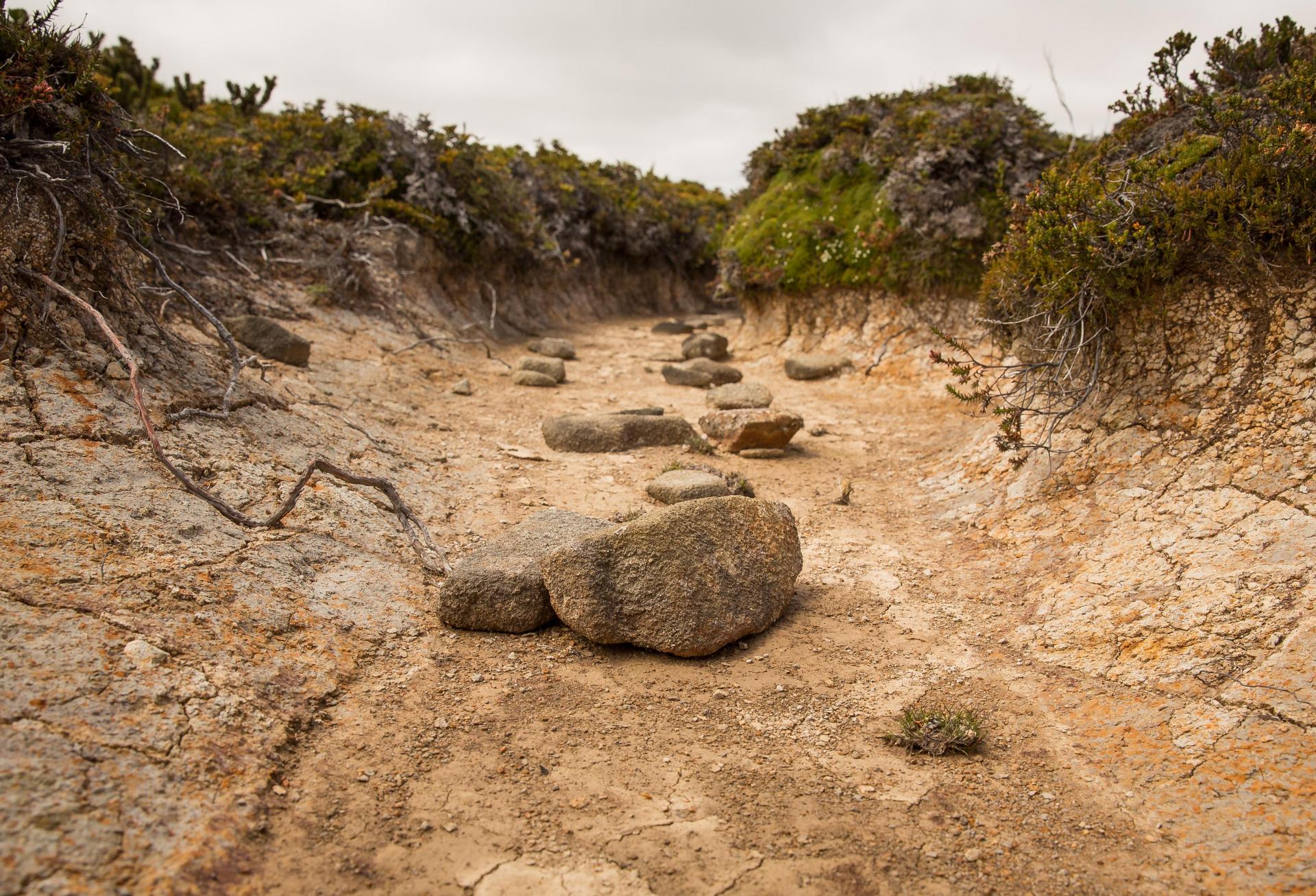 Western Drought Has Developers Planning Ahead, And Low-Hanging Low-Flow Fruit Is Already Picked