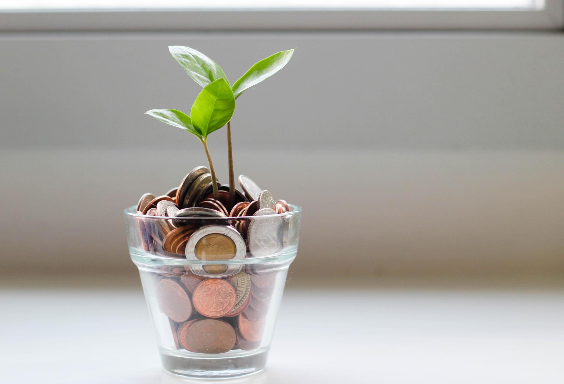 Investment photo via unsplash