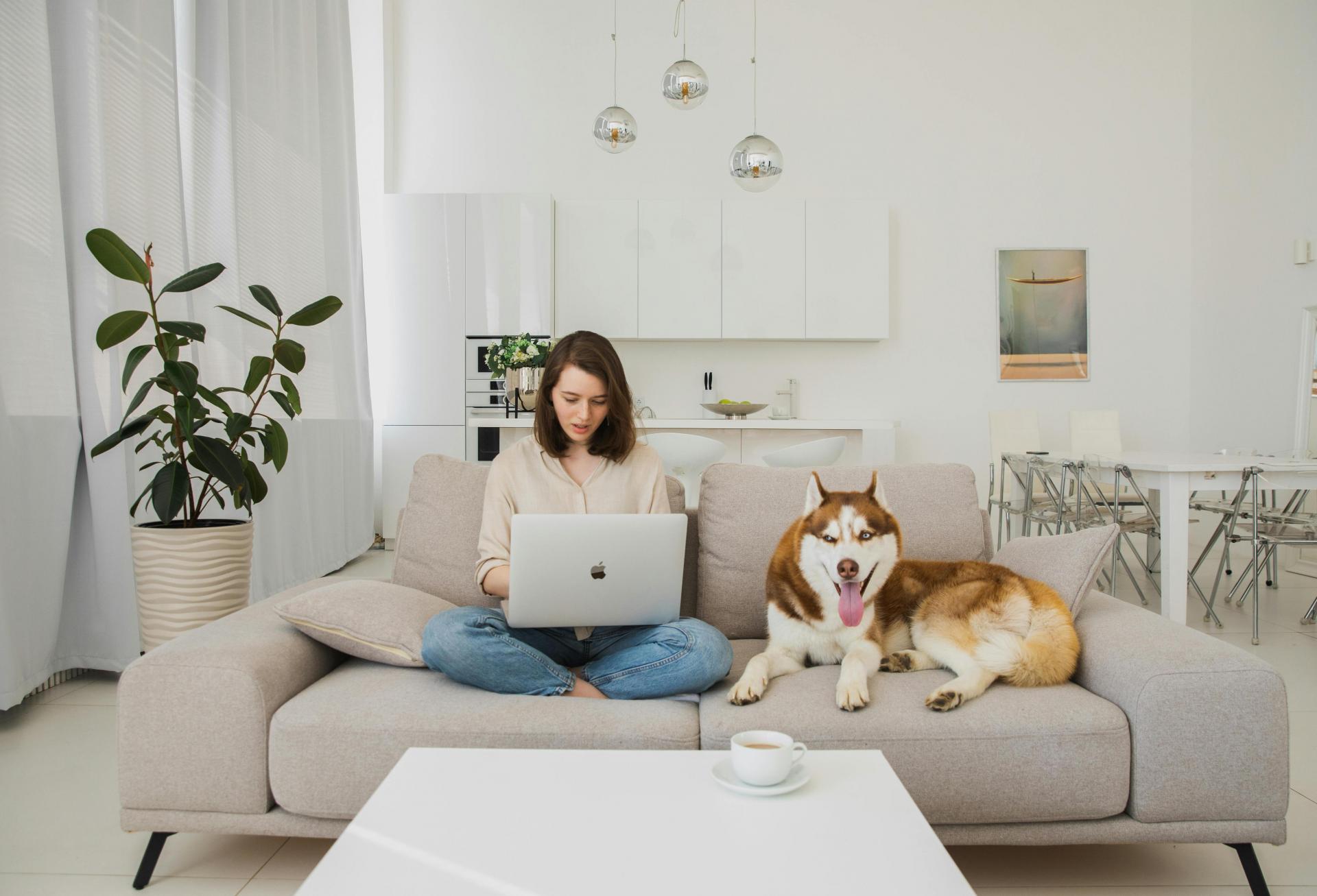 How Effective Pet Policy Management Improves Leasing, Operational Resilience And NOI