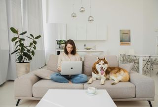How Effective Pet Policy Management Improves Leasing, Operational Resilience And NOI