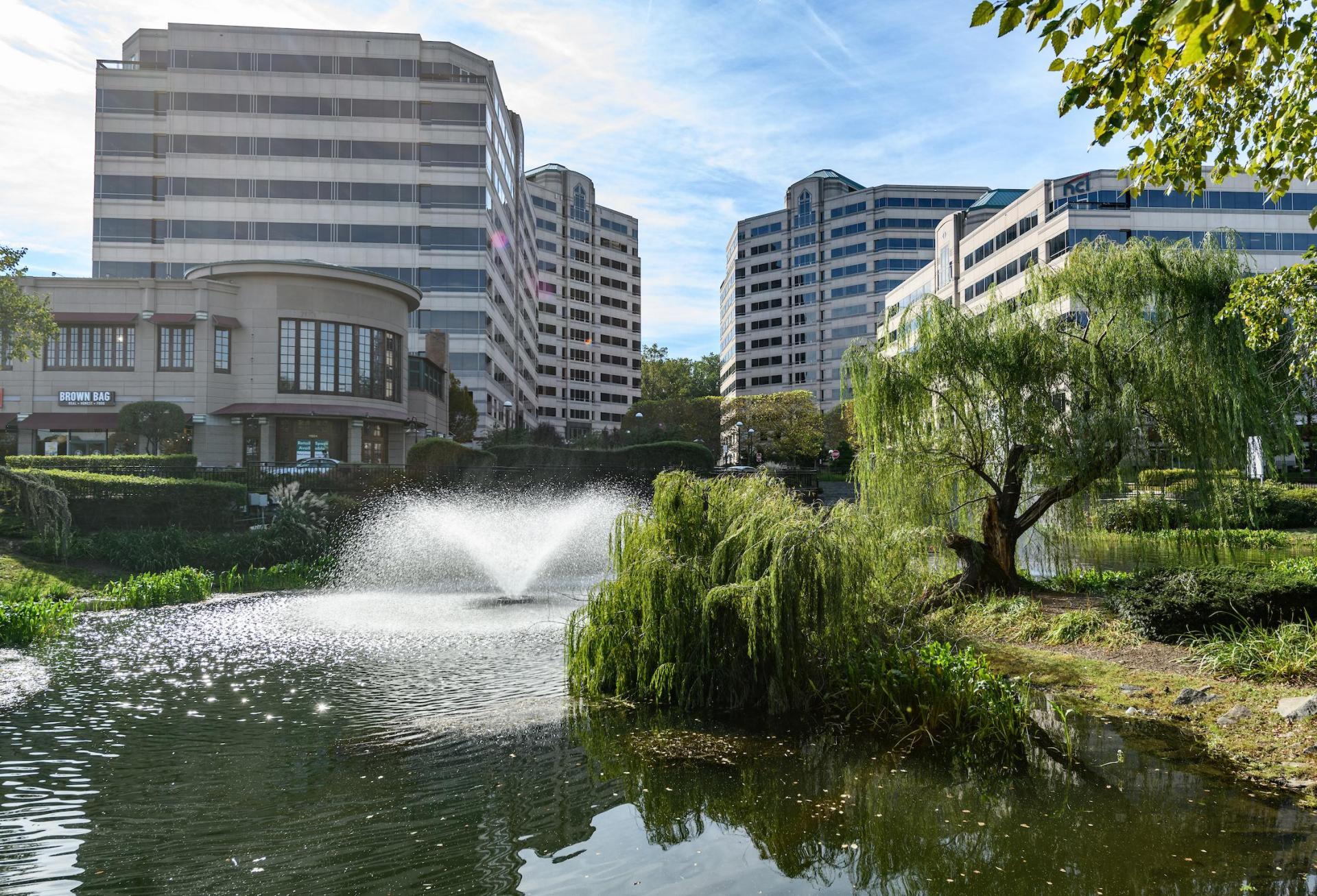 What's In The Pipeline In Reston And Herndon