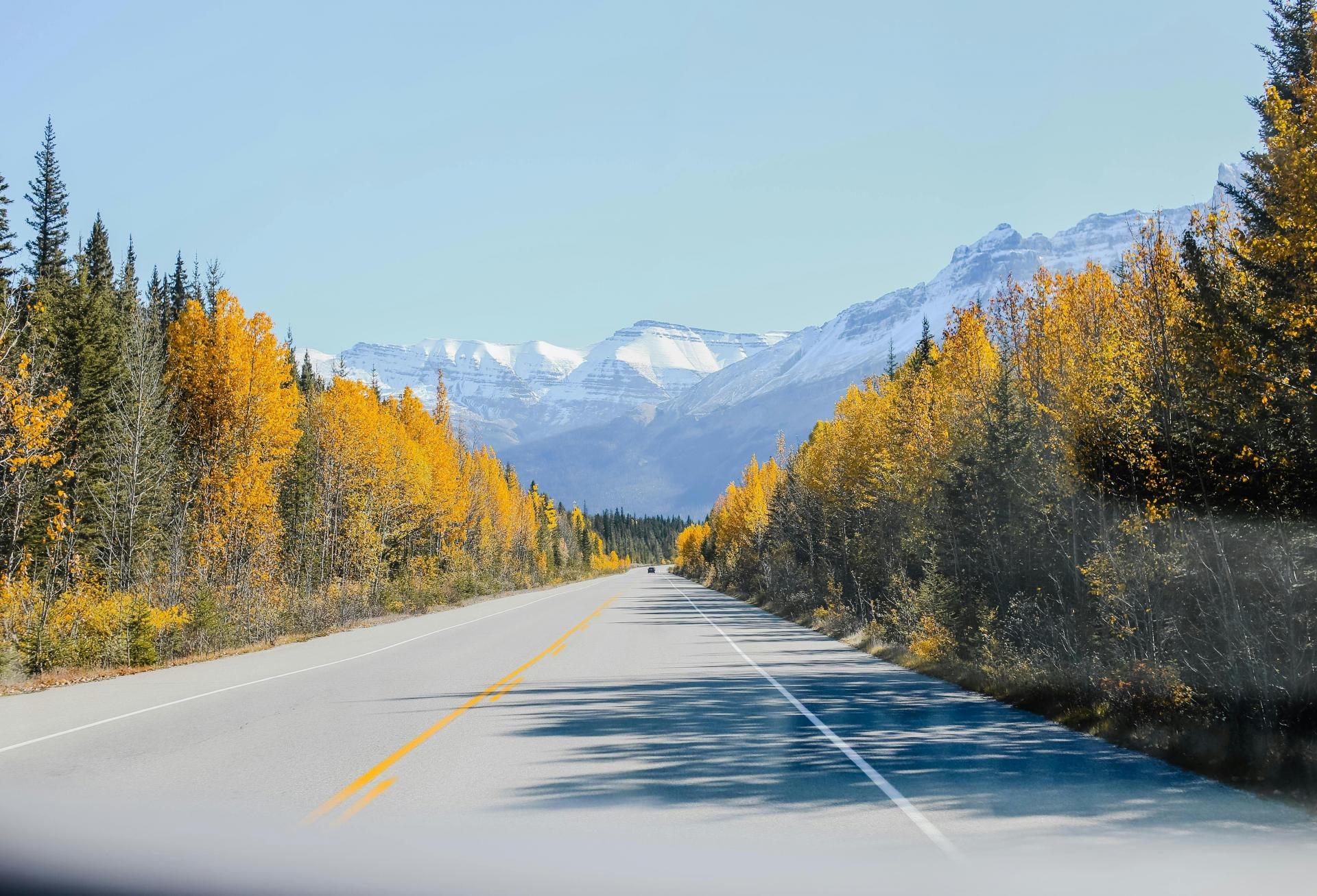 AI, Natural Gas Jump-Start Canada's Data Center Gold Rush