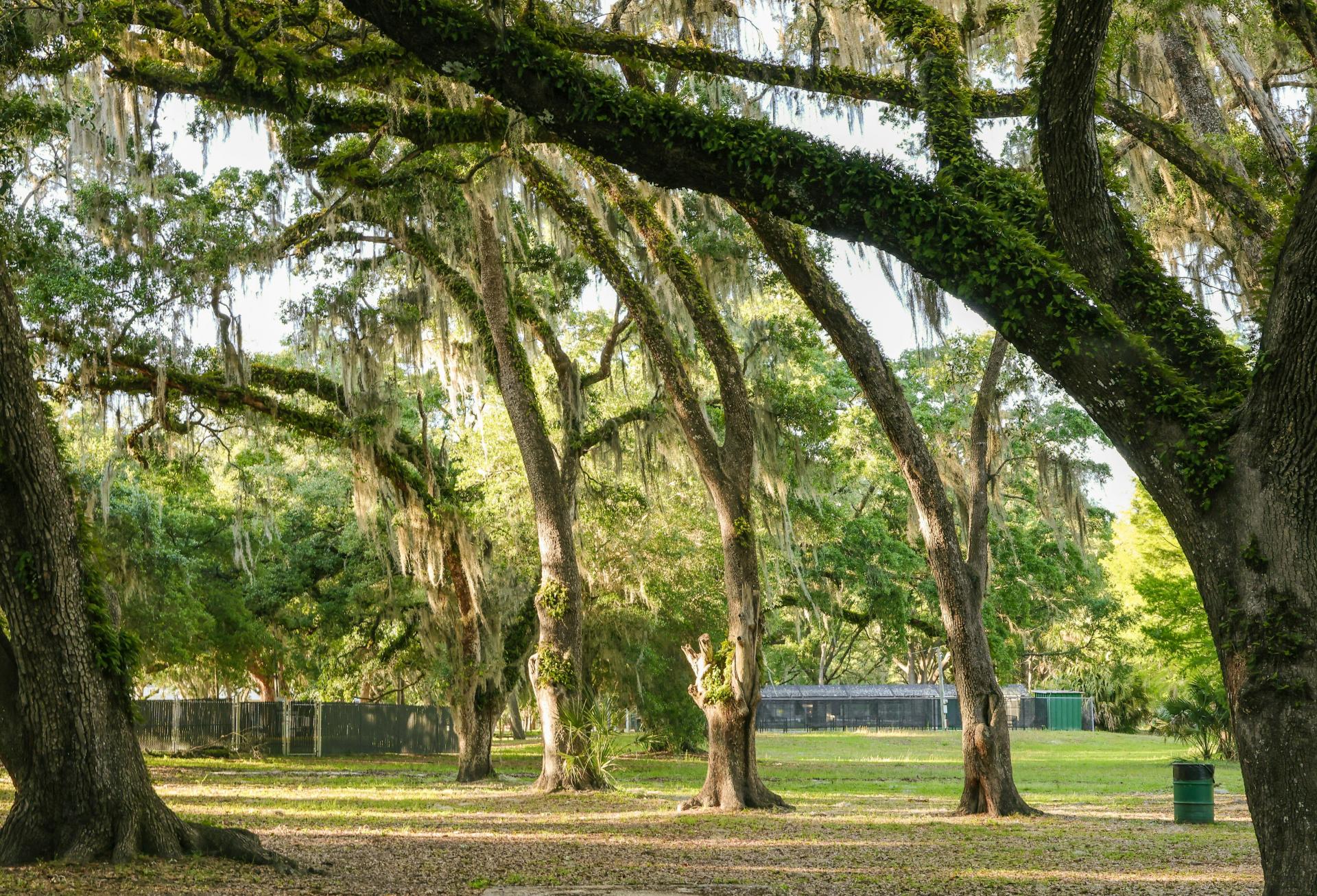 With Gainesville, Florida, Attracting CRE Investment, A Local Player Is Optimistic For Its Future