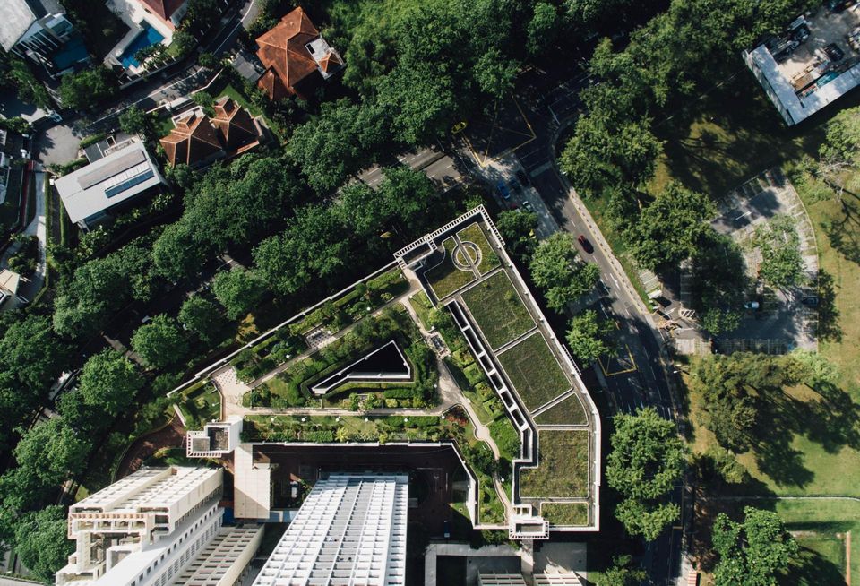 Rooftop garden in Hong Kong
