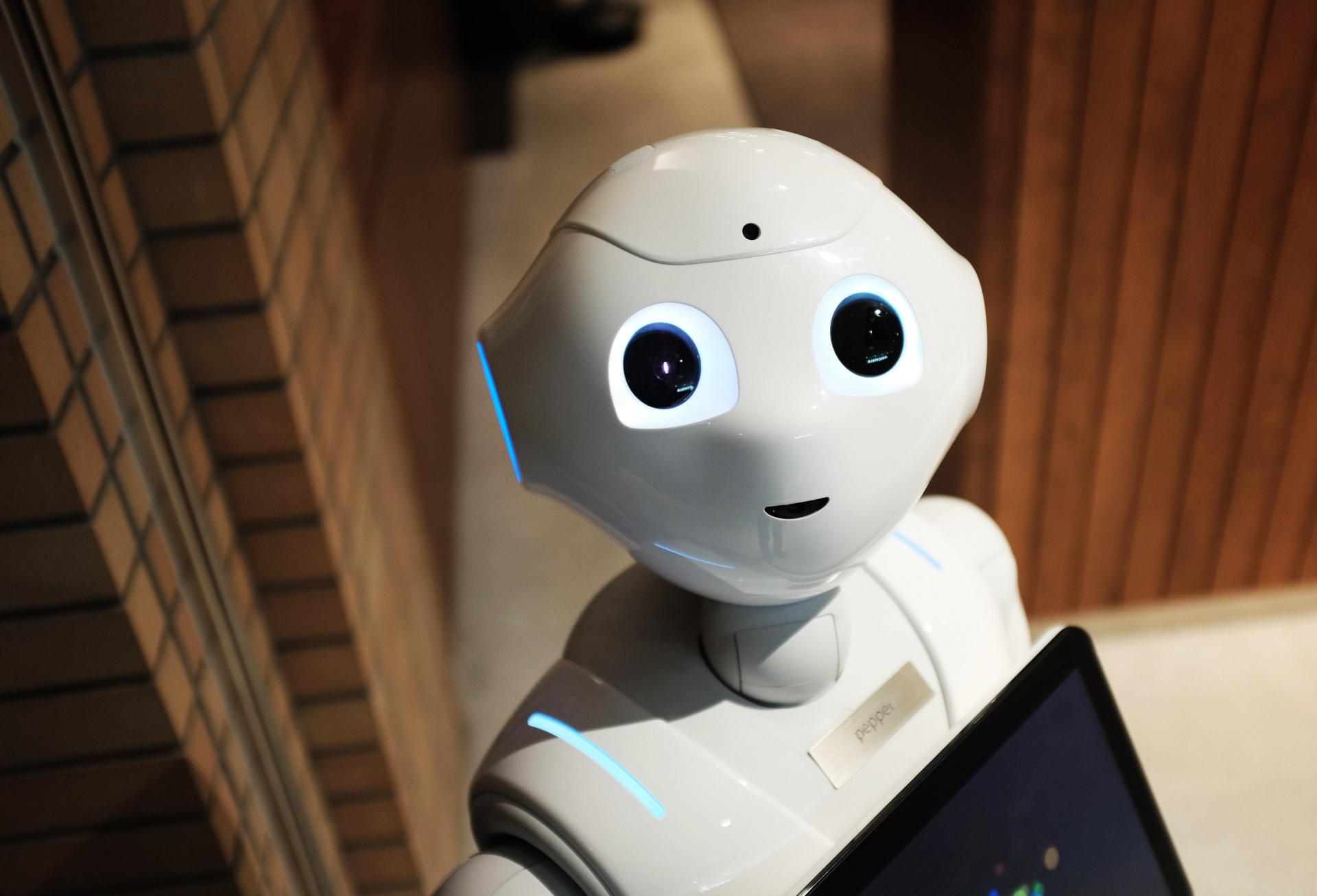 Eels, Robots and Drug Busts: How Data Centers Got Weird In 2022