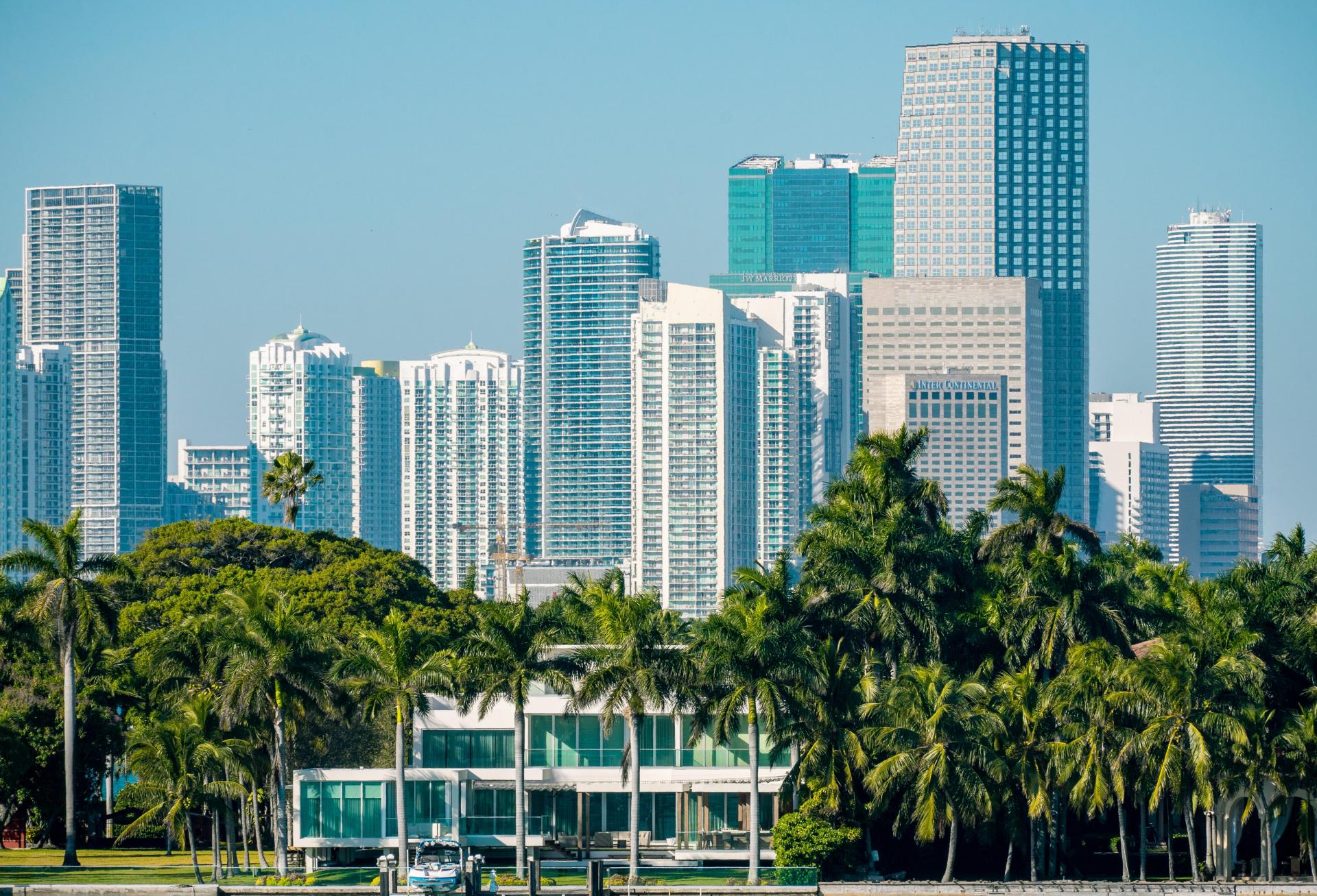 Miami Entertainment Options Abound: 5 Reasons To Attend Bisnow’s Future Of Wynwood Event On Jan. 30
